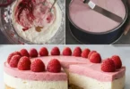 Himbeer Philadelphia Torte ohne Backen mit frischen Himbeeren