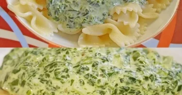 Nudeln mit Cream Spinach in cremiger Frischkäsesauce serviert