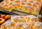 Kuchen mit Quark und Mandarinen auf einem schönen Teller serviert