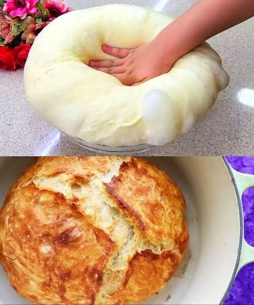 Brot ohne Gehzeit