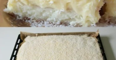 Kokosnusskuchen mit Vanillepudding auf einem Teller