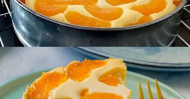 Mandarinen Quarkkuchen mit frischen Mandarinen und Quark auf einem Teller