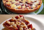 Leckeres Stück Pflaumenkuchen mit frischen Pflaumen auf einem Teller