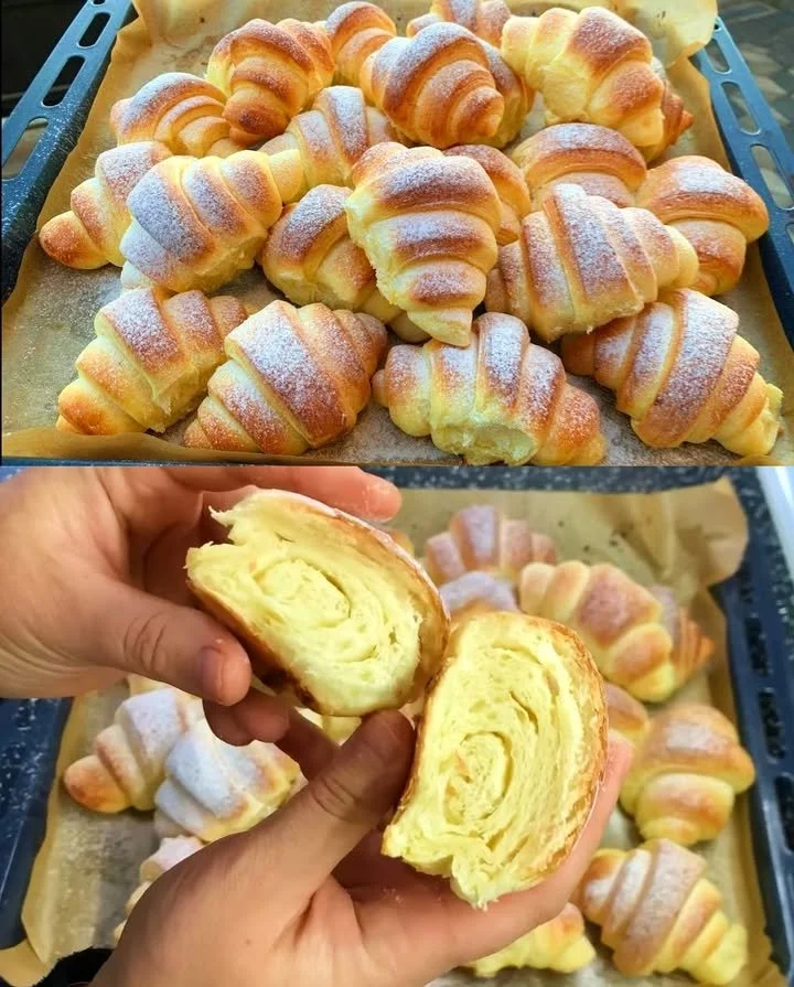 Leckere Pudding Rollen auf einem Teller serviert
