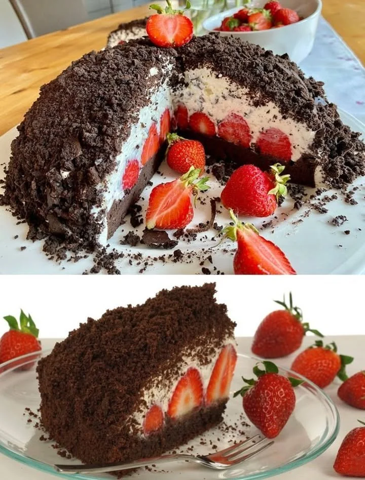 Schokoladen-Himbeer-Torte