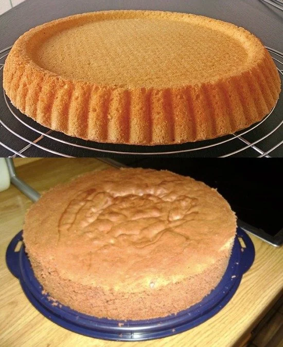 Frischer Tortenboden aus einem leckeren Rezept, ideal für verschiedene Tortenvariationen.