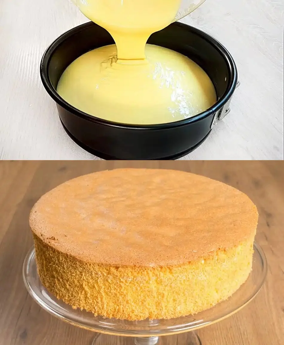 Leckerer Biskuitkuchen auf einem Teller, dekoriert mit Früchten