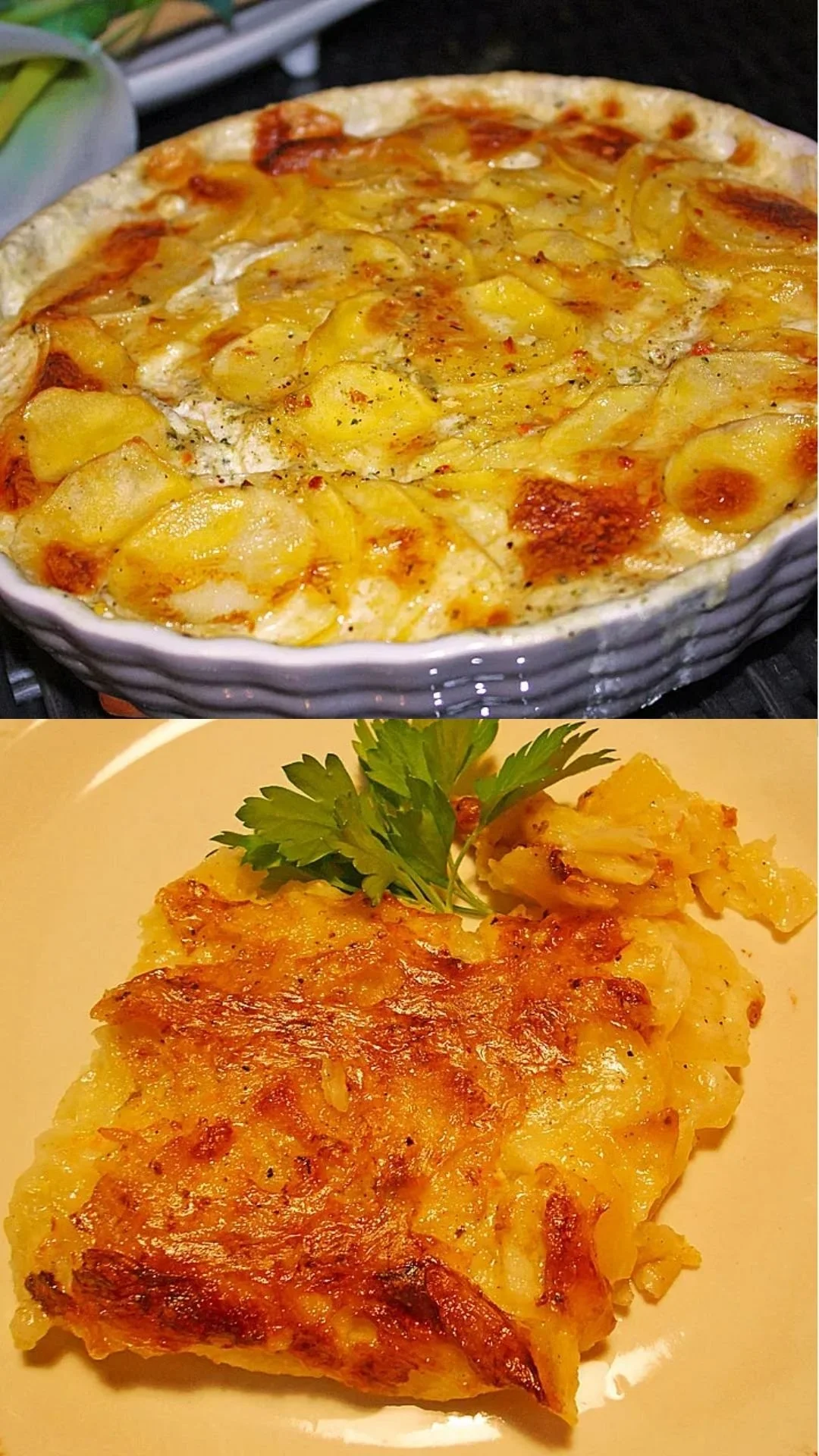 Leckeres Kartoffelgratin frisch aus dem Ofen