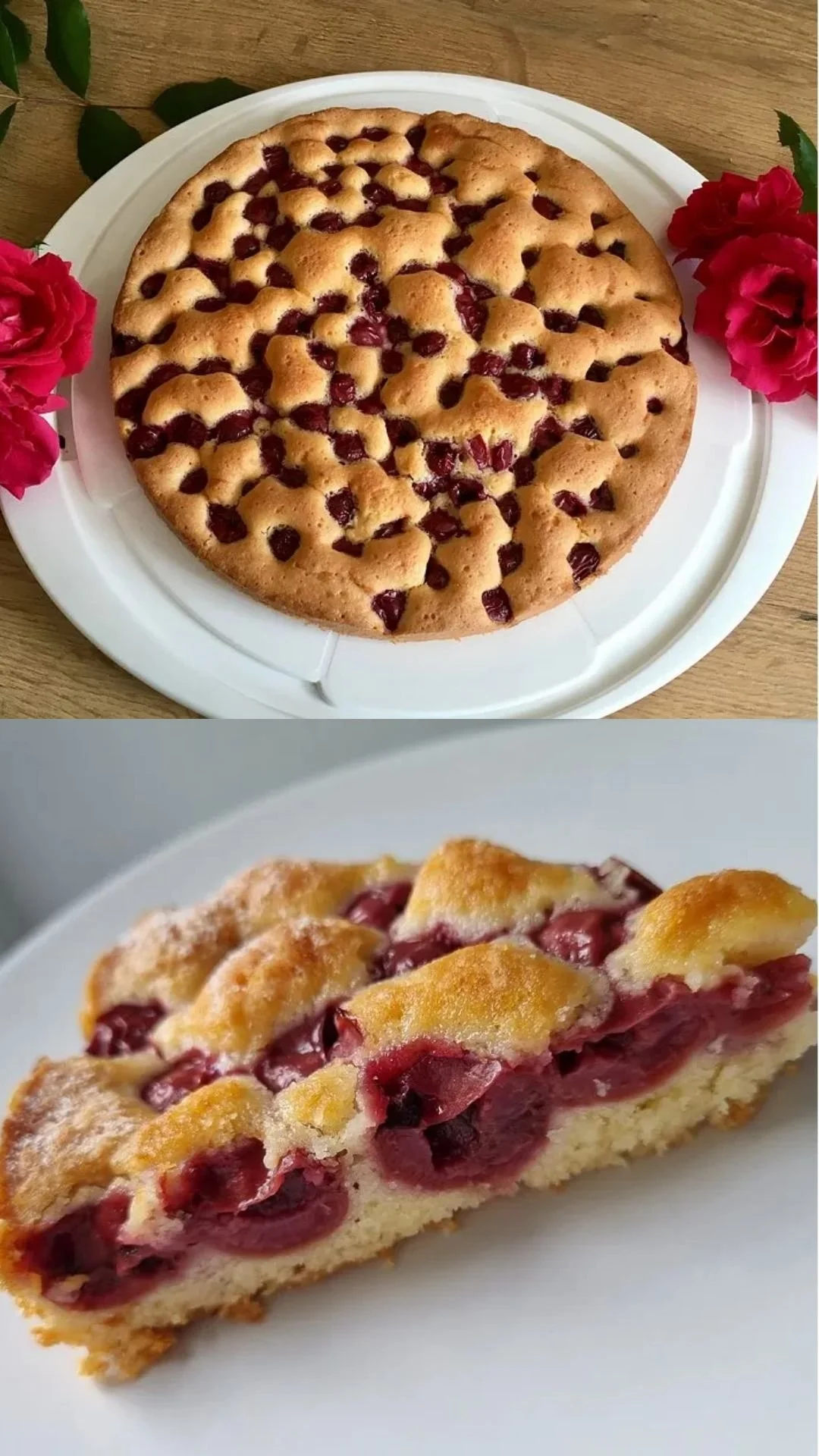 Leckeres Stück Kirschkuchen auf einem Teller mit frischen Kirschen