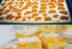 Buttermilchkuchen mit Mandarinen auf einem Teller serviert