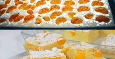 Buttermilchkuchen mit Mandarinen auf einem Teller serviert