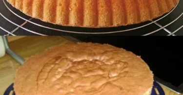 Biskuitboden für Torten, frisch gebacken und bereit für verschiedene Verzierungen.