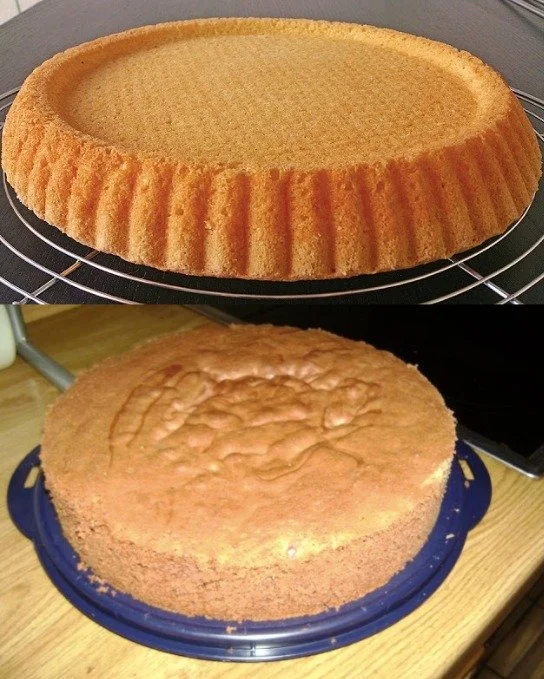 Biskuitboden für Torten, frisch gebacken und bereit für verschiedene Verzierungen.