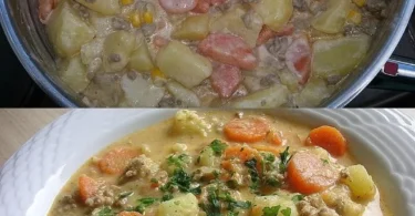 Hackfleisch und Kartoffel-Möhren Eintopf in einem Topf angerichtet