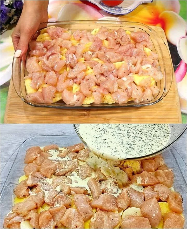 Hähnchen Kartoffel Gratin frisch aus dem Ofen, appetitlich angerichtet