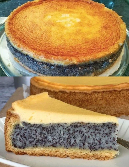 Leckerer Mohnkuchen mit saftigem Mohnbelag auf einem Teller
