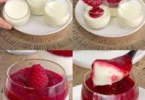 Panna Cotta mit Himbeersauce auf einem Teller serviert