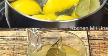 Tasse Zitronenlorbeertee mit frischen Lorbeerblättern und Zitrone