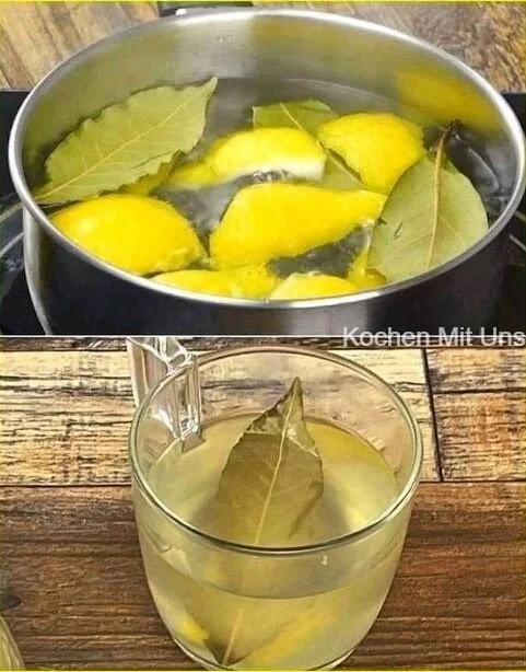 Tasse Zitronenlorbeertee mit frischen Lorbeerblättern und Zitrone