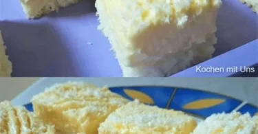 Blitz Kokosnusskuchen mit Vanillepudding auf einem Teller serviert