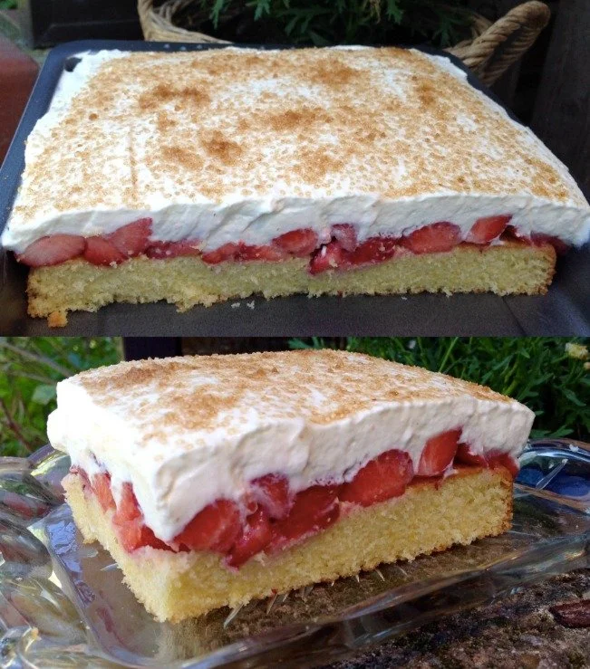 Leckerer Erdbeerkuchen mit frischen Erdbeeren und Sahne