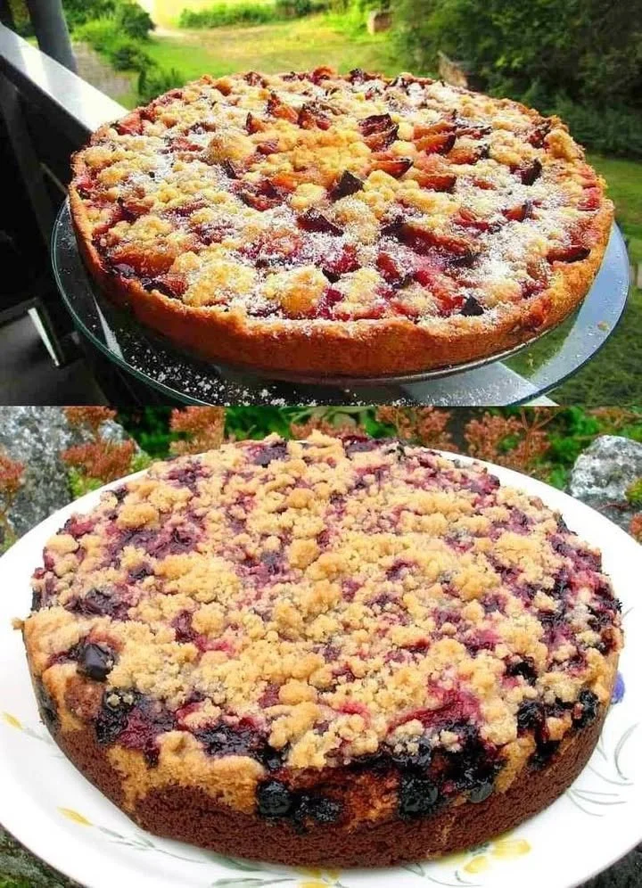 Evis schneller Pflaumenkuchen mit frischen Pflaumen auf einem Teller