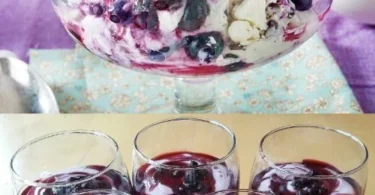 Leckeres Blaubeer-Mascarpone-Dessert mit frischen Blaubeeren auf einem Teller