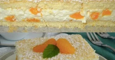 Leckeres Mandarinen-Creme-Dessert in einer eleganten Schale serviert