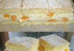 Mandarinen Quark Schnitten mit frischen Mandarinen und Quarkcreme