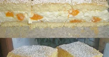 Mandarinen Quark Schnitten mit frischen Mandarinen und Quarkcreme