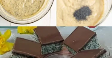 Mohnkuchen ohne Mixer, frisch gebacken und serviert auf einem Teller