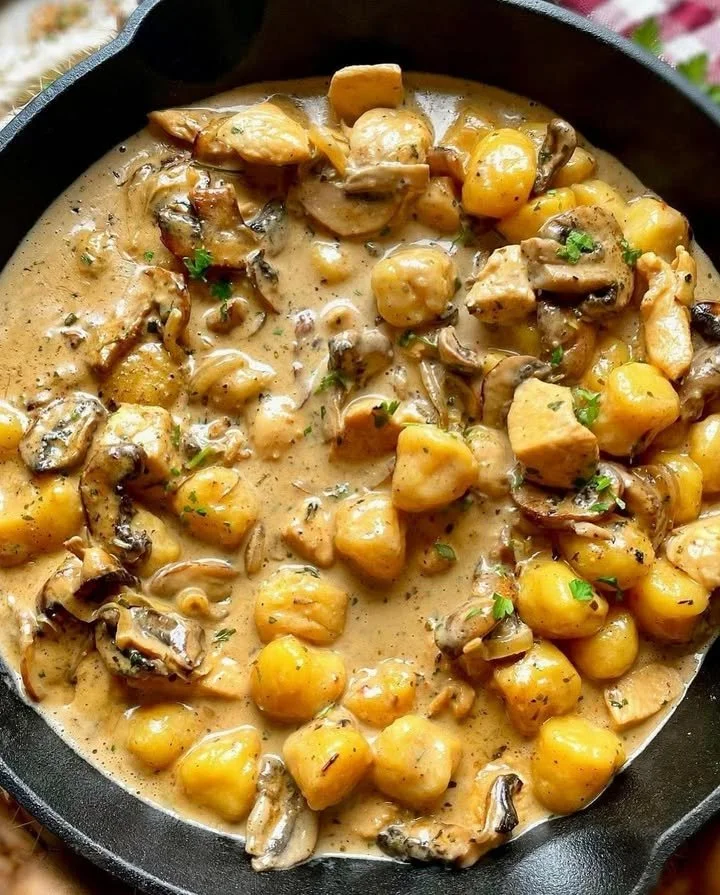 Pilz-Rahm-Gnocchi mit Hühnchen in einer cremigen Sauce serviert