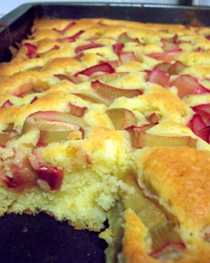 Delizioso Rhabarberkuchen frisch aus dem Ofen mit rotem Rhabarber und Streuseln