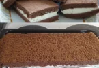 Leckerer Schokoladenkuchen mit Sahne auf einem Teller serviert