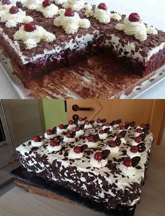 Schwarzwälder Kirschtorte mit Schokolade und Kirschen auf einem Teller