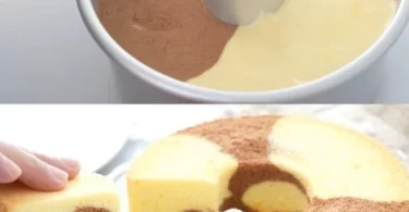 Zitronen-Joghurt-Kuchen mit Kakao auf einem Teller