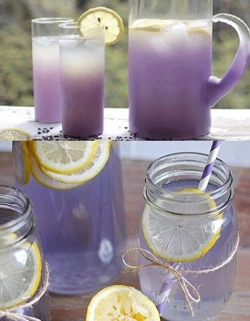 Erfrischende Zitronen-Lavendel-Limonade mit frischen Zutaten