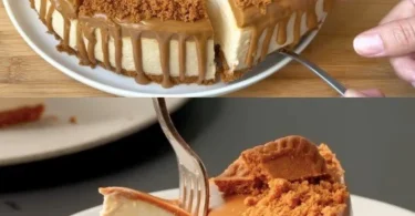 Blitz Käsekuchen ohne Backen auf einem Teller serviert