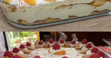 Luftiges Käse Sahne Dessert mit einem Hauch von Frucht und Keksboden