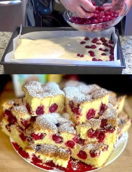 Ein Stück Quark Kirschkuchen auf einem Teller mit frischen Kirschen daneben.