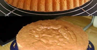 Luftiger Biskuitboden bereit zum Verzehr, ideal für Kuchen und Desserts