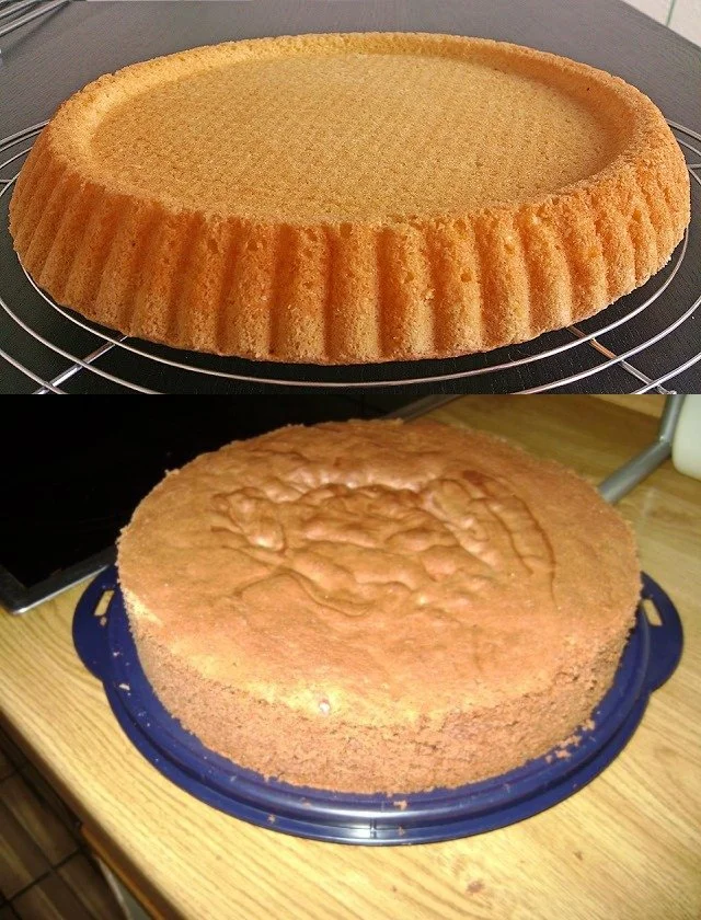 geschmackvoll – Biskuitboden für Torten und Kuchen – Geschmackvoll
