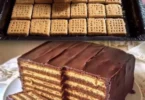 Kalter Hund: Ein klassischer Schokoladenkeks-Kuchen auf einem Teller