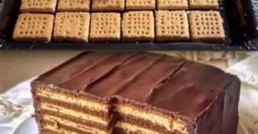 Kalter Hund: Ein klassischer Schokoladenkeks-Kuchen auf einem Teller